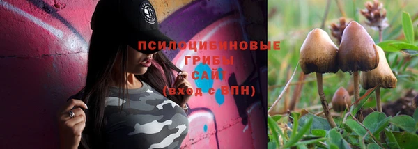 кокаин колумбия Белокуриха